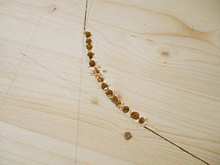 20070121_03.jpg