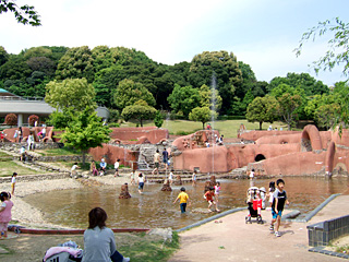 20070512_01.jpg