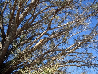 20091011_02