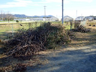 20091011_03