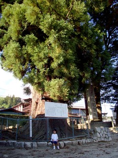 20091012_05