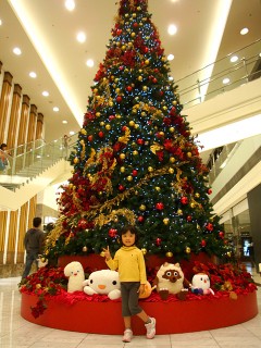 20091114_06