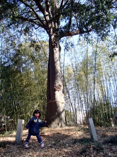 20100207_03