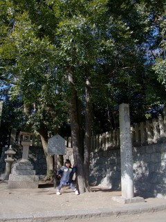 20100207_04