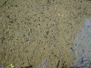 20100207_06